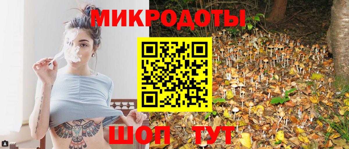 Галлюциногенные грибы Psilocybe Пыть-Ях